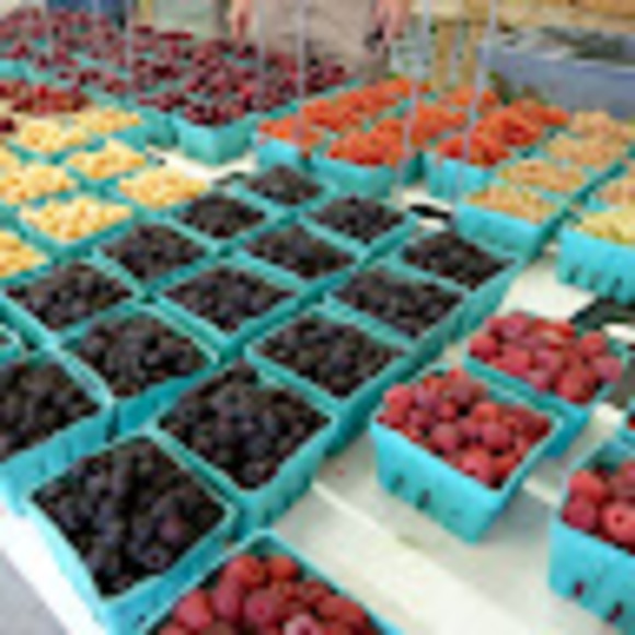 Meet your Posher, Liz - Picture 1 of 1